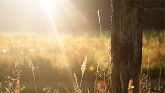 哪里最划算的电话压力测试器