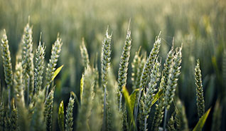 让工作更轻松的获取短信验证码平台